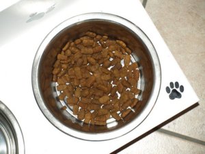 honden voeding spelletjes eetbak